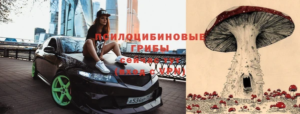 Альфа ПВП Надым