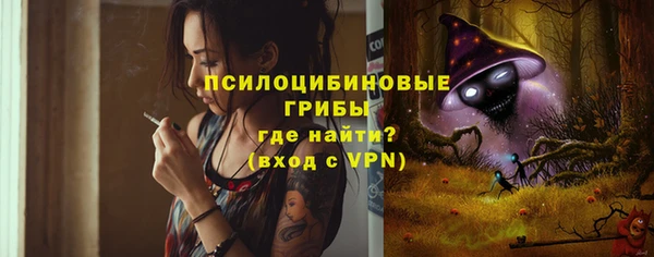 молекула духа Навашино
