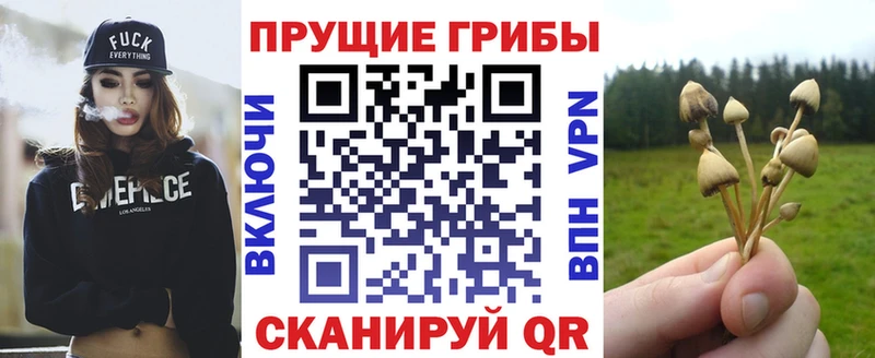 Псилоцибиновые грибы мицелий  Чкаловск 